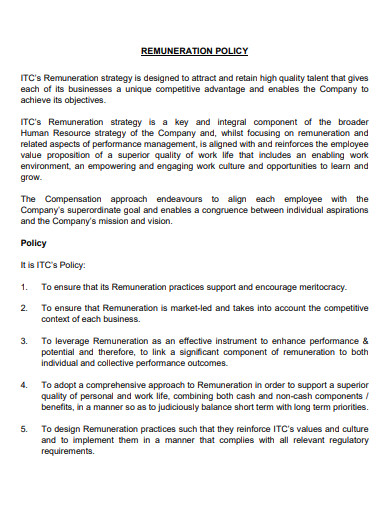 11+ Remuneration Policy Templates in PDF | Ms Word