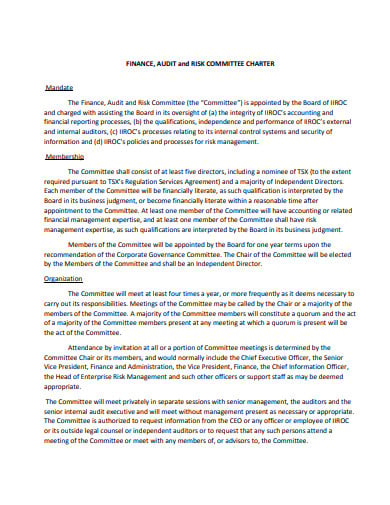 risk committee charter finance audit template