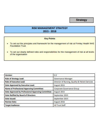 risk-management-strategy-audit-checklist