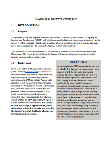 Risk Appetite Examples Pdf