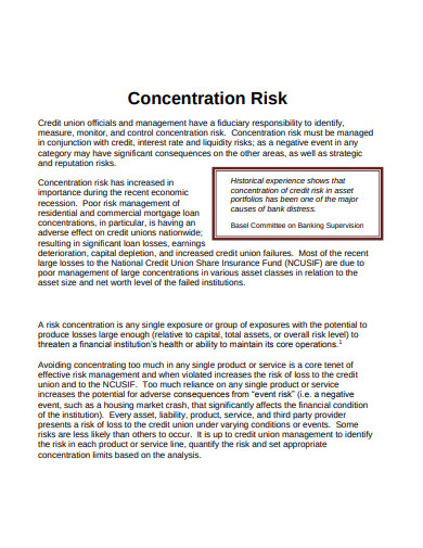 simple concentration risk policy template