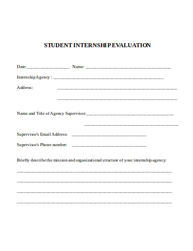 student-internship-agency-evaluation-template