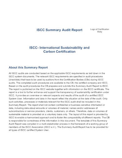 summary audit report template