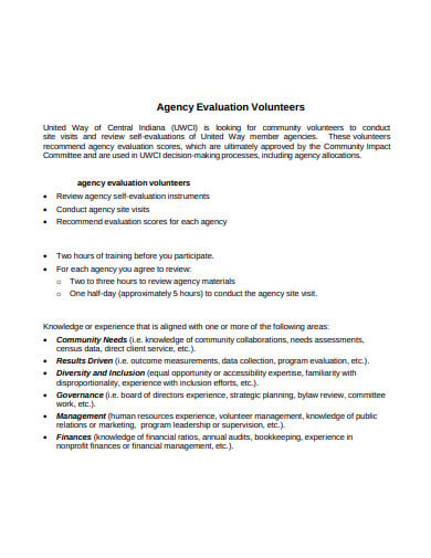 volunteer-agency-evaluation-template