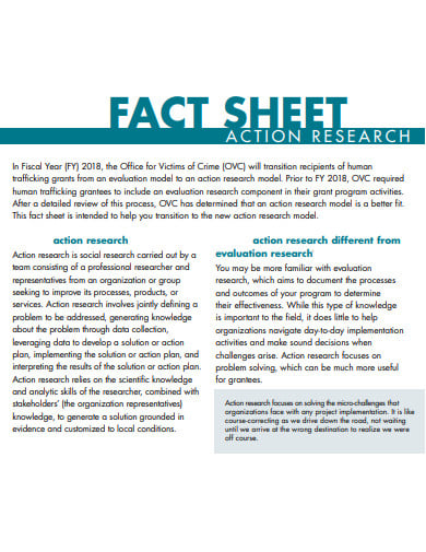 action research fact sheet template