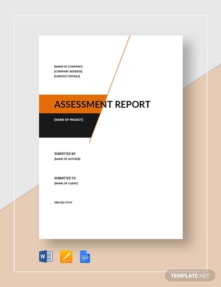 assessment report