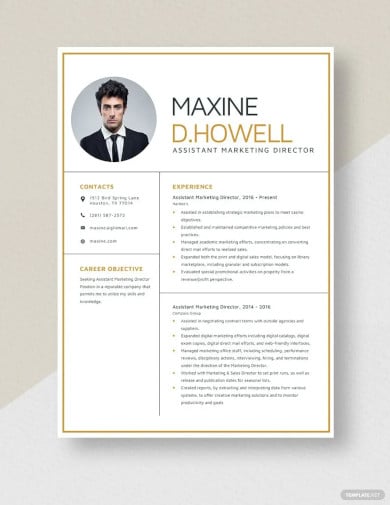 assistant marketing director resume template