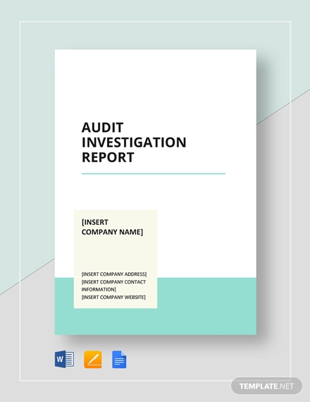 audit investigation report