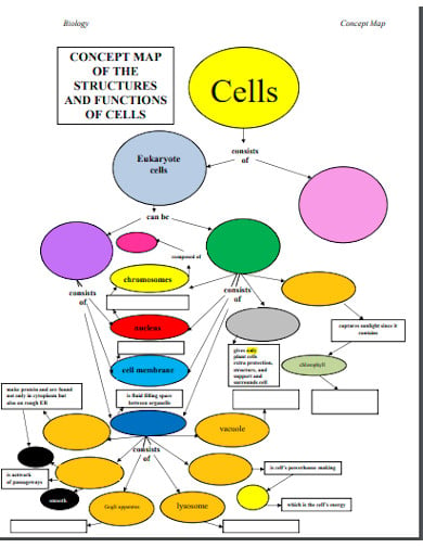 cell blank concept map template