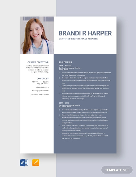 Professional Resume Template - 70+ Free Samples, Examples, Format Download