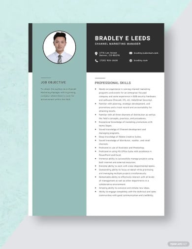 channel marketing manager resume template