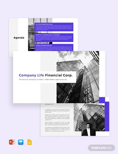 company-business-strategy-presentation-template