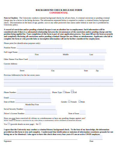 11 Criminal Background Check Form Templates In Pdf Doc 4912
