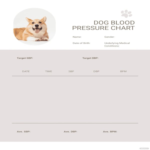 dog blood pressure chart