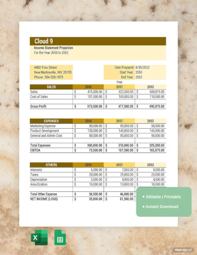 27+ Financial Projection Templates in Google Docs | Google Sheets ...