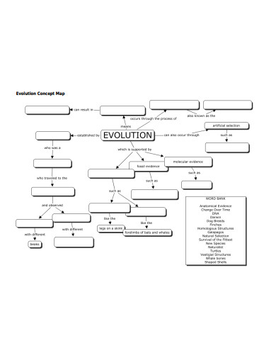 evolution-concept-map