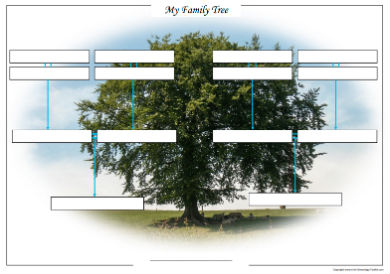 family tree diagram template