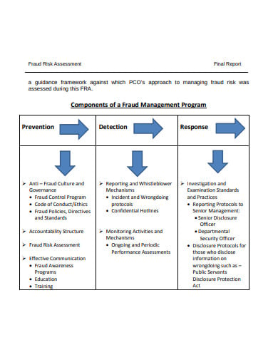 fraud risk assessment final report template
