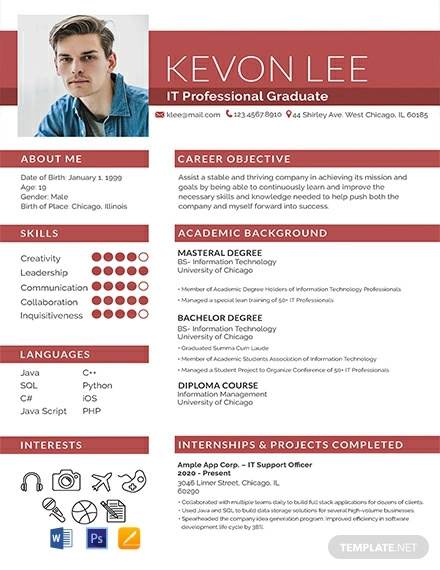 19+ Best Fresher Resume Templates in Illustrator | InDesign | MS Word ...