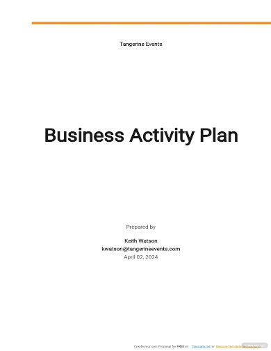 free sample business activity plan template