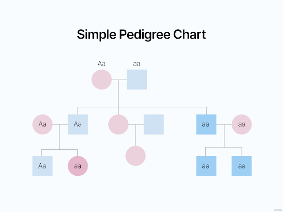 free simple pedigree chart