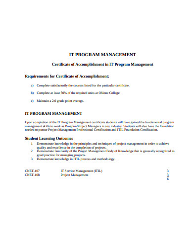 it program management template