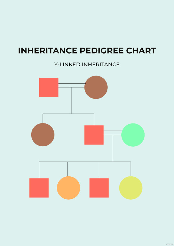 inheritance pedigree chart
