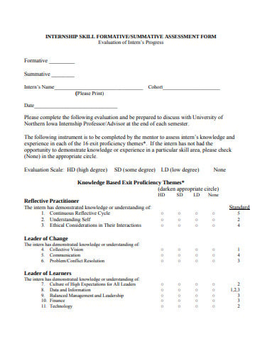 internship-skills-summative-evaluation-form
