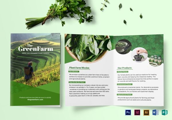 mockup bifold green brochure 10162017 600x420