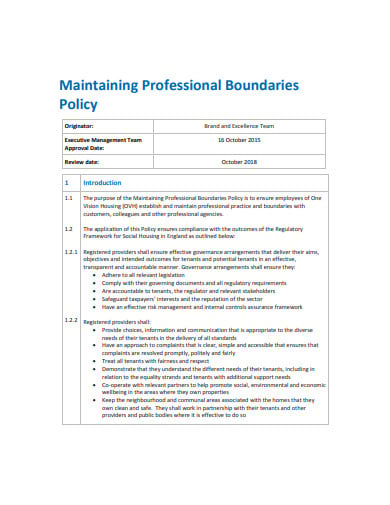maintaining professional boundaries policy in pdf