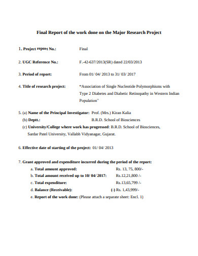major research project final report