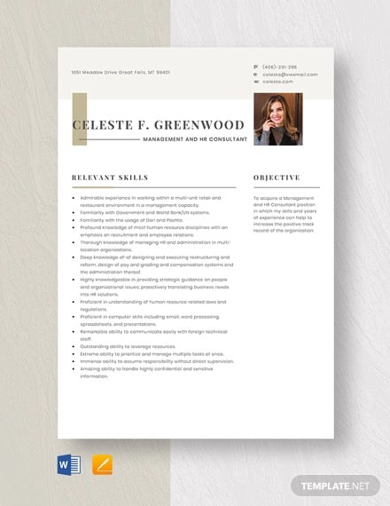 management and hr consultant resume template
