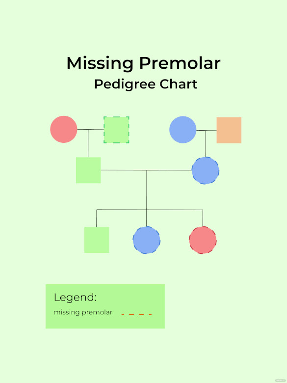missing premolar pedigree chart