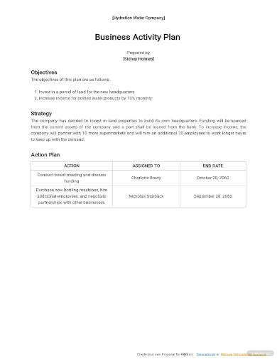 one page business activity plan template
