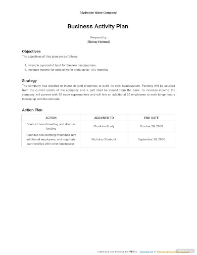 36+ Activity Plan - Sample, Example, Format