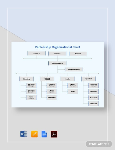 8+ Partnership Organizational Chart Templates in PDF | Word | Google