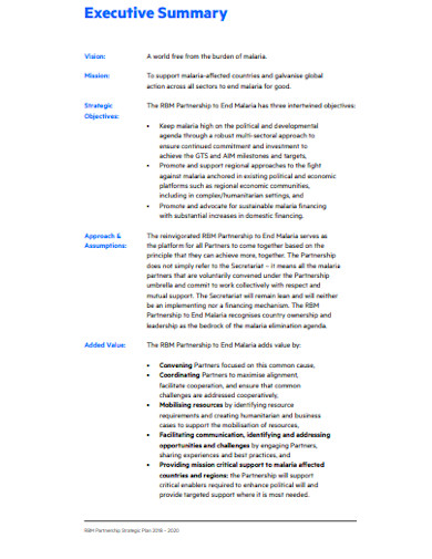 partnership-strategy-template-in-pdf