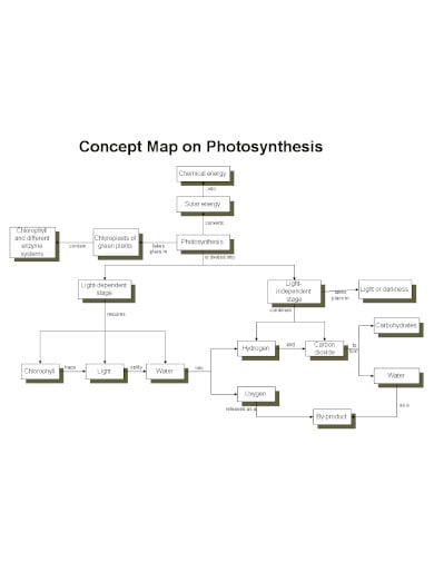 photosynthesis-concept-map-template