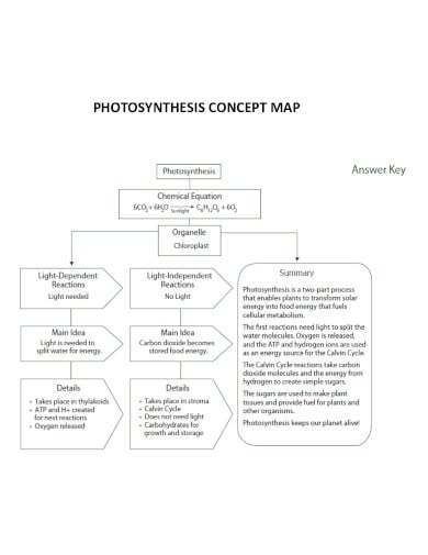photosynthesis-concept-map-in-pdf
