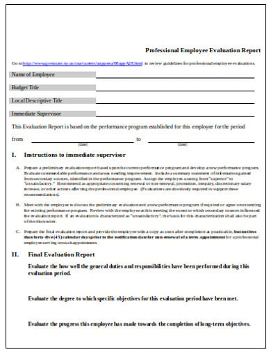 preliminary employee assessment report