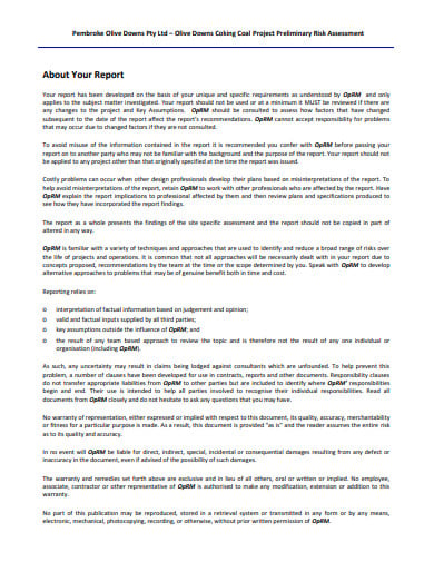 preliminary risk assessment report