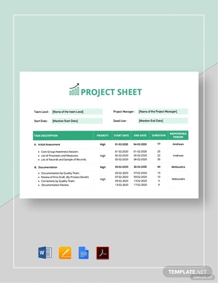 project sheet template