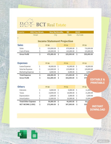 27+ Financial Projection Templates in Google Docs | Google Sheets ...