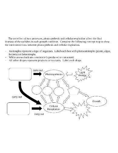 respiration-and-photosynthesis-concept-map