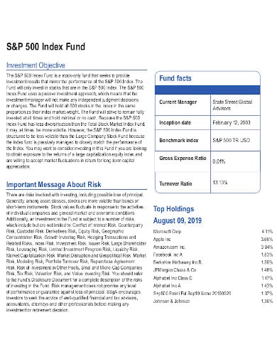 sp 500 index fund example