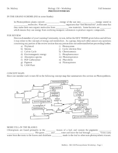 sample-photosynthesis-concept-map