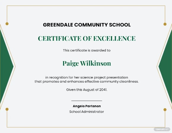 school project completion certificate template