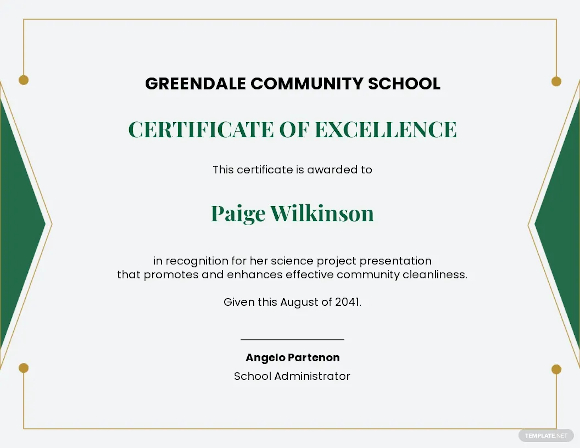 school project completion certificate template