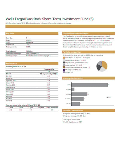 short-term-investment-fund