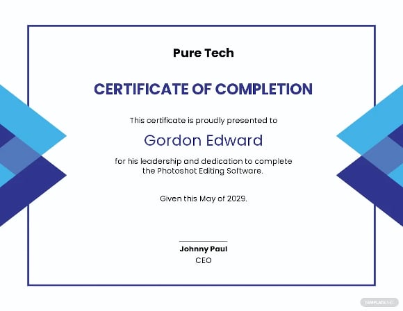 software project completion certificate template